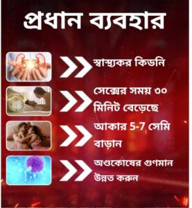 WhatsApp-Image-2025-01-16-at-10.53.34-AM-1-944x1024-1